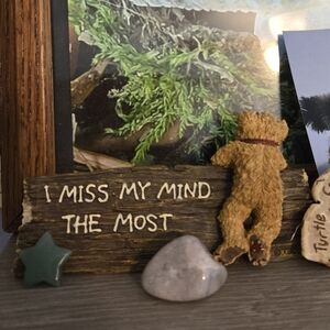 Boyds Bears 2005 Albert I Miss My Mind Desk Sign Figurine #4144V Funny Quote
